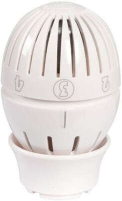 Image du produit TETE THERMOSTATIQUE R470