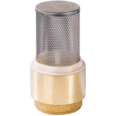 Image du produit CLAPET CREPINE 1"