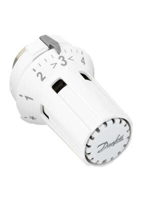 Image du produit TETE THERMO. RAW-K 013G5030 M30x1.5