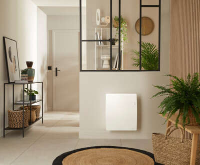Image du produit AGILIA PI CO H CARAT