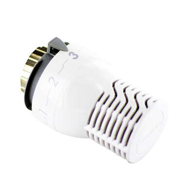 Image du produit TETE THERMOSTATIQUE SENSITY M30 RENFORCEE