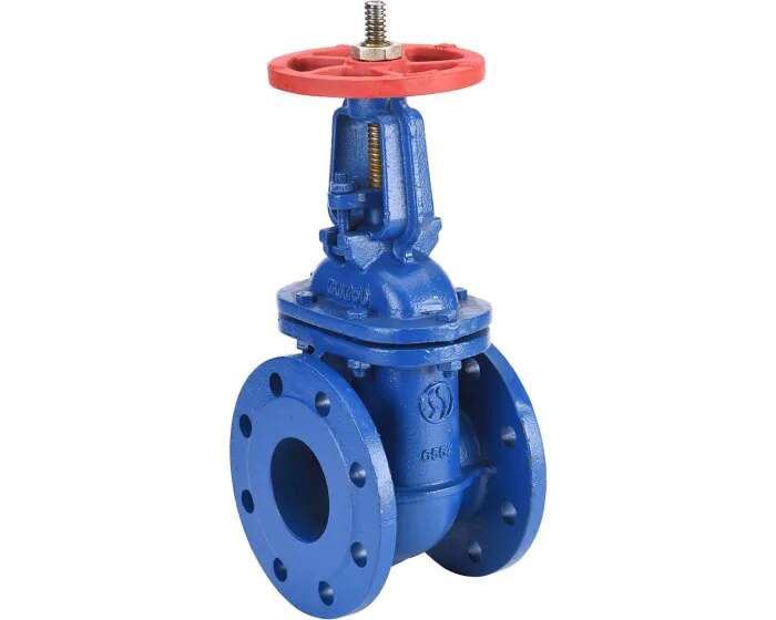 Image du produit VANNE OPERCULE FONTE DN50 TIGE EXT  PN16