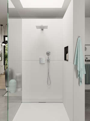 Image du produit DOUCHETTE A MAIN RAINDANCE SELECT E 120 3 JETS