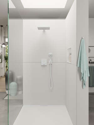 Image du produit DOUCHETTE A MAIN RAINDANCE SELECT E 120 3 JETS