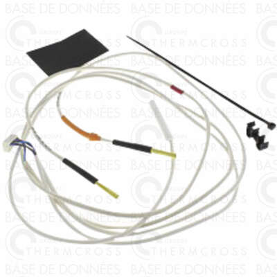 Image du produit ENS.SONDE DE TEMPERATURE X (3)