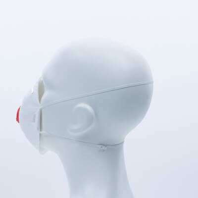 Image du produit BOITE 10 MASQUES FFP3 JETABLES A VALVE