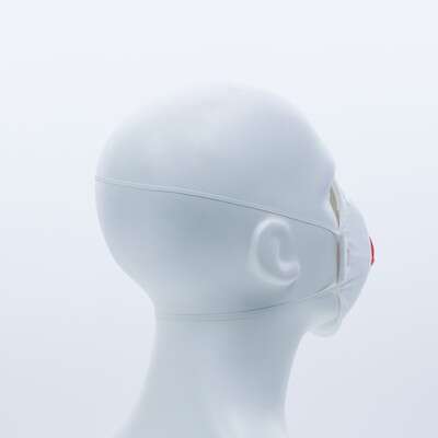 Image du produit BOITE 10 MASQUES FFP3 JETABLES A VALVE