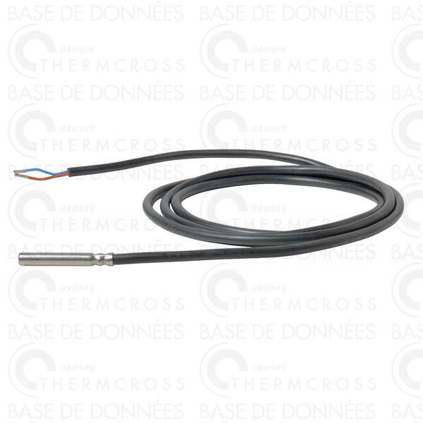 Image du produit SONDE TEMP&Eacute;RATURE CHEMIS&Eacute;E PT1000