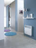 Image du produit F617                                              