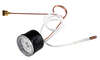 Image du produit THERMOMANO.A BULBE 8716757723