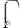 Image du produit ROBINET PILIER LAVABO BEC HAUT ORIENTABLE