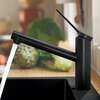 Image du produit MITIGEUR EVIER ZEZIS 1 JET NOIR MAT