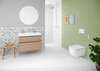 Image du produit WC SUSPENDU AQUACLEAN ALBA BLANC ALPIN