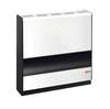 Image du produit RADIATEUR GAZ 5210 BLANC