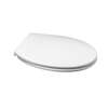 Image du produit ABATTANT DOUBLE POLY ROCK BLANC