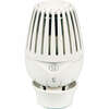 Image du produit TETE THERMOSTATIQUE BULBE LIQUIDE