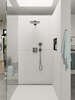 Image du produit DOUCHETTE A MAIN RAINDANCE SELECT E 120 3 JETS