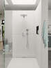 Image du produit DOUCHETTE A MAIN RAINDANCE SELECT E 120 3 JETS
