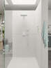 Image du produit DOUCHETTE A MAIN RAINDANCE SELECT E 120 3 JETS