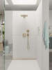 Image du produit DOUCHETTE A MAIN RAINDANCE SELECT E 120 3 JETS