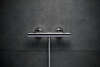 Image du produit MITIGEUR DOUCHE ECOSTAT FINE THERMOSTATIQUE
