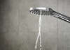 Image du produit DOUCHETTE A MAIN RAINDANCE SELECT E 120 3 JETS