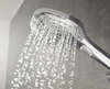 Image du produit DOUCHETTE A MAIN RAINDANCE SELECT E 120 3 JETS