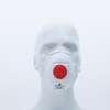 Image du produit BOITE 10 MASQUES FFP3 JETABLES A VALVE