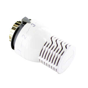Image produit TETE THERMOSTATIQUE SENSITY M30 RENFORCEE